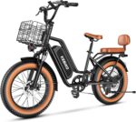 Our 2-Seater Fat-Tire Ebike: Power, Range & Comfort